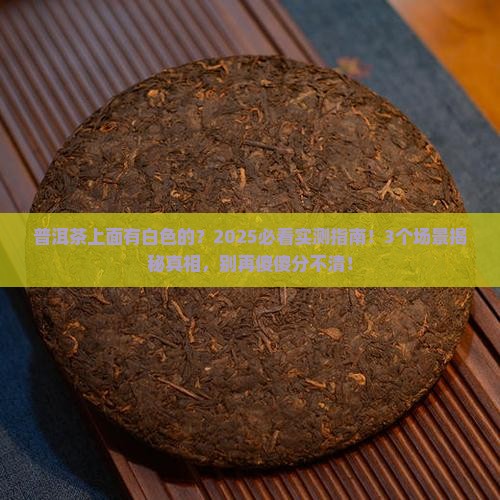 普洱茶上面有白色的