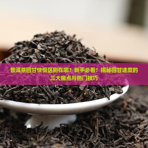 普洱茶回甘的快慢区别在哪