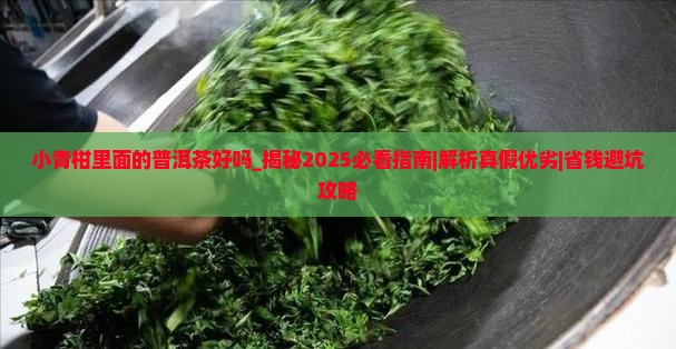 小青柑里面的普洱茶好吗