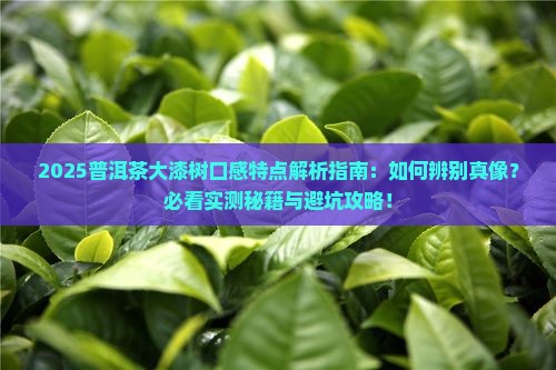 普洱茶大漆树口感特点