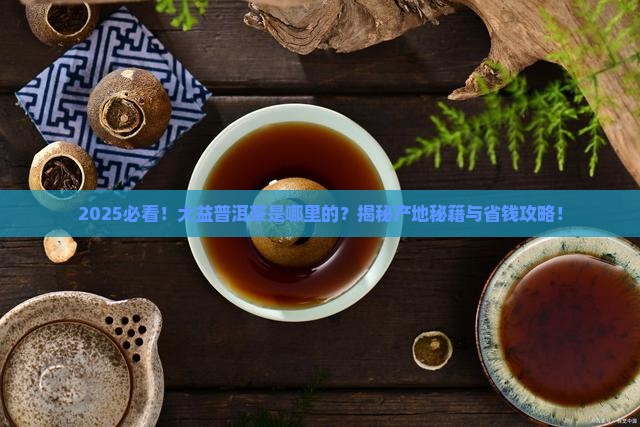 大益普洱茶是哪里的