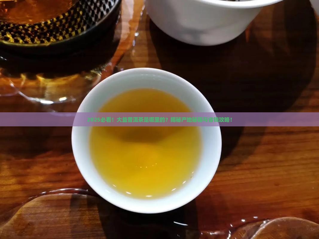 大益普洱茶是哪里的