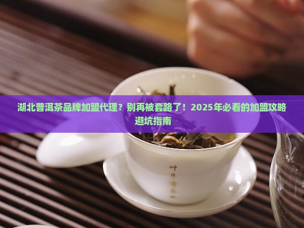 湖北普洱茶品牌加盟代理