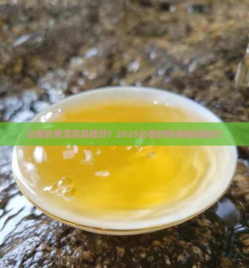 云南的普洱茶品牌好