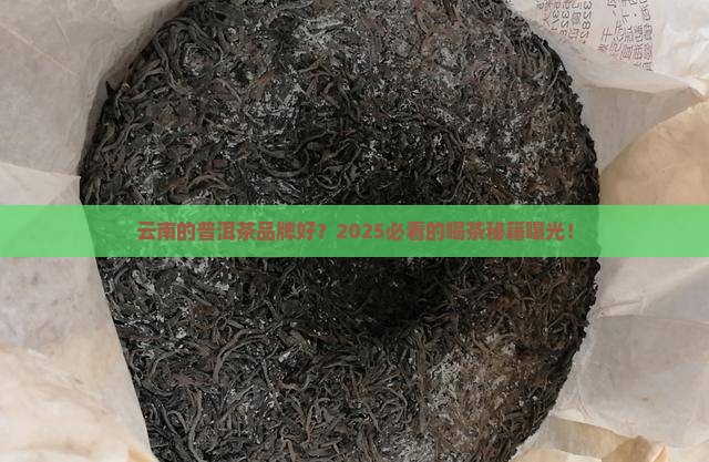 云南的普洱茶品牌好