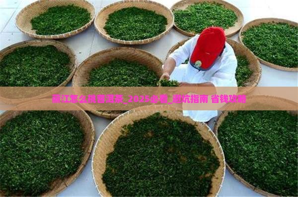 丽江怎么挑普洱茶