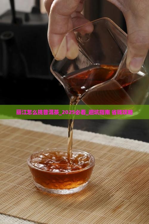 丽江怎么挑普洱茶