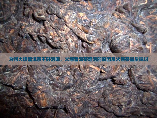 为何火烧普洱茶不好泡呢