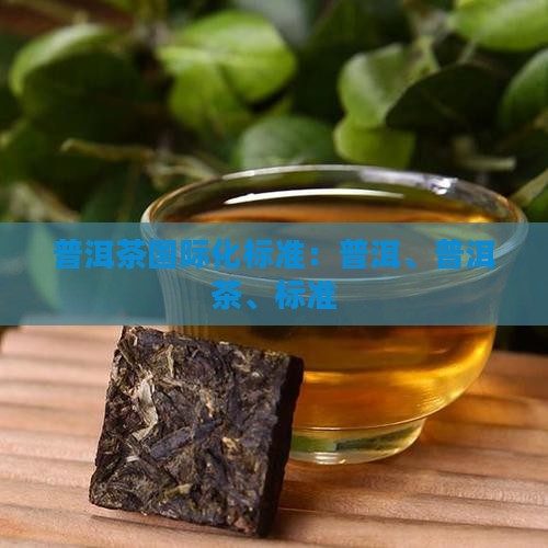 普洱茶国际化标准