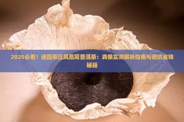 逸园茶庄凤凰窝普洱茶