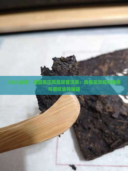 逸园茶庄凤凰窝普洱茶