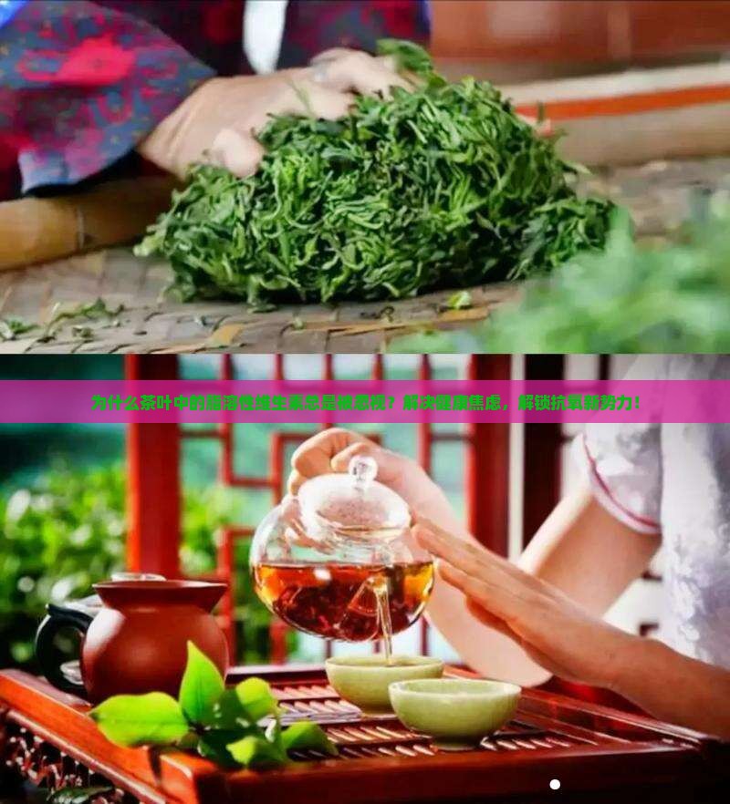 茶叶中的脂溶性维生素