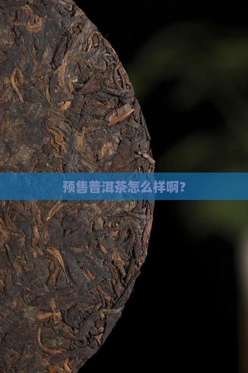 预售普洱茶怎么样