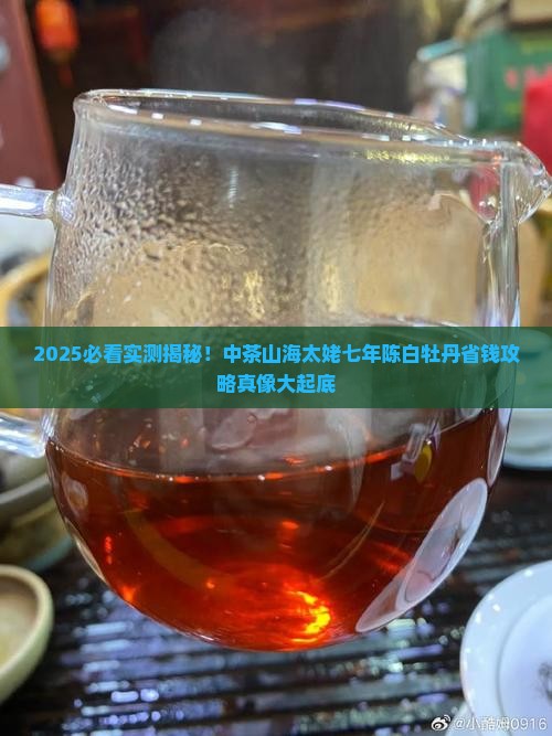 中茶山海太姥七年陈白牡丹