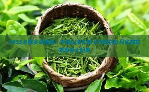 中茶山海太姥七年陈白牡丹