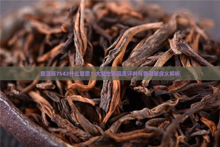 普洱茶中7542什么意识