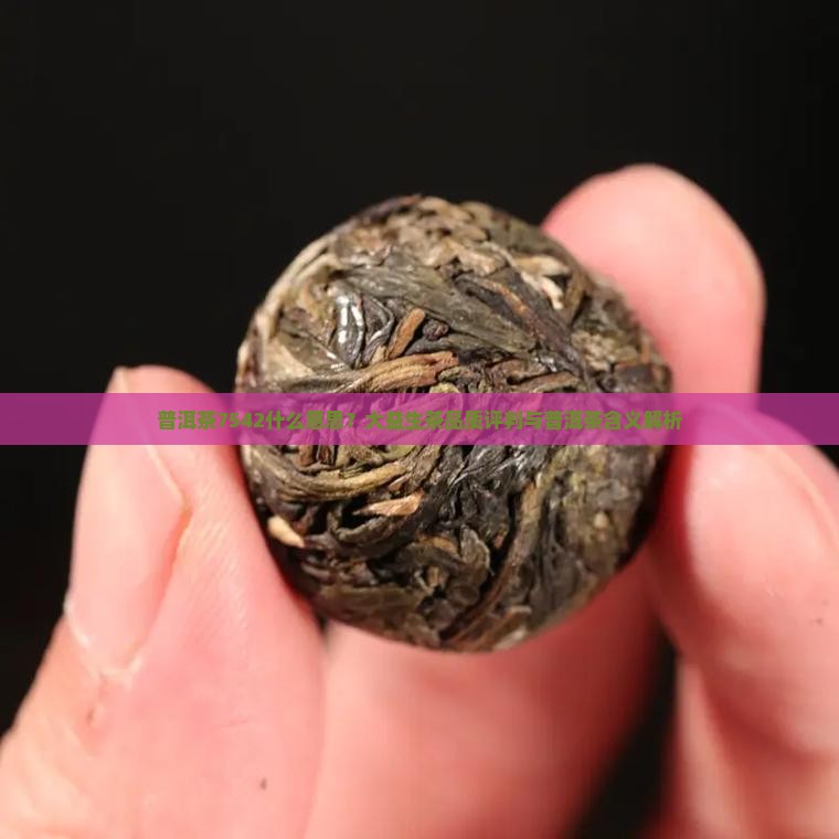 普洱茶中7542什么意识