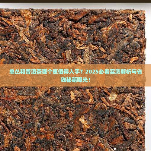 单丛和普洱茶哪个
