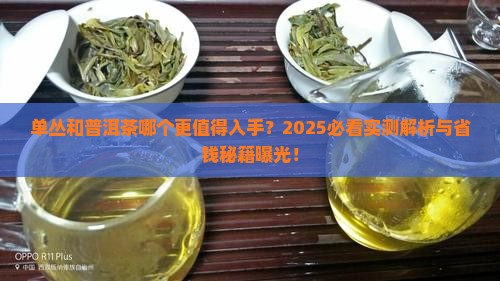 单丛和普洱茶哪个