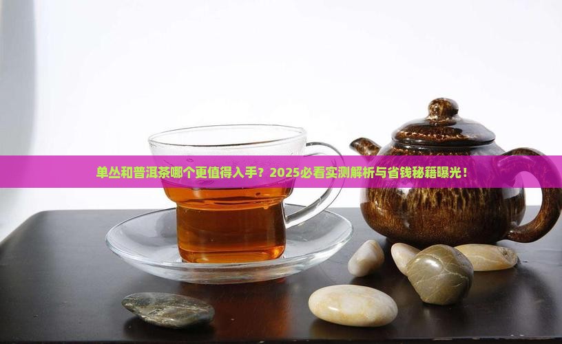 单丛和普洱茶哪个