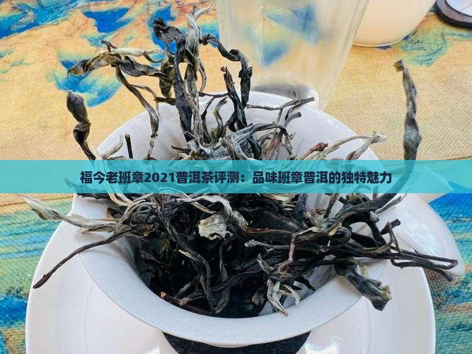 评测2021福今老班章
