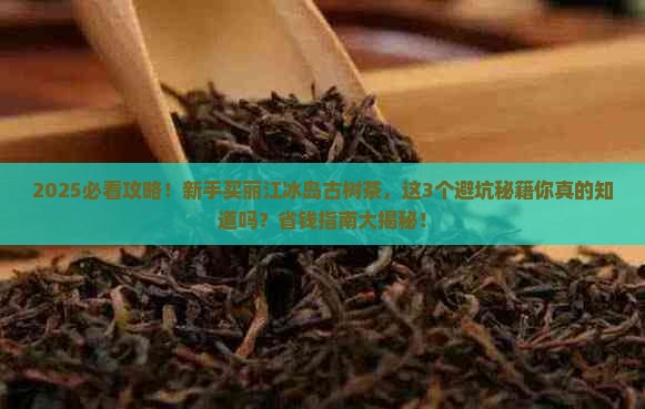 丽江冰岛古树茶