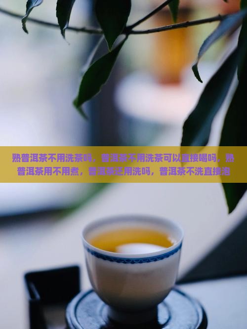 熟普洱茶不用洗茶