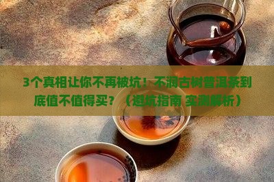 不润古树普洱茶