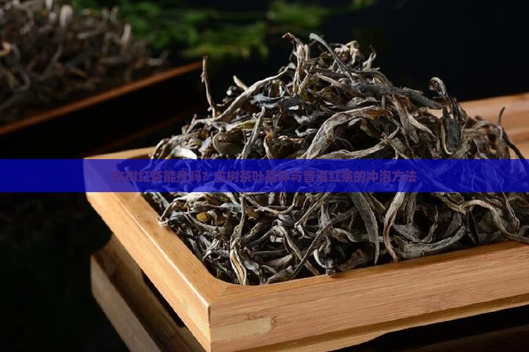古树红茶能煮吗