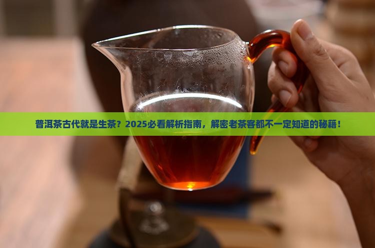 普洱茶古代是指生茶