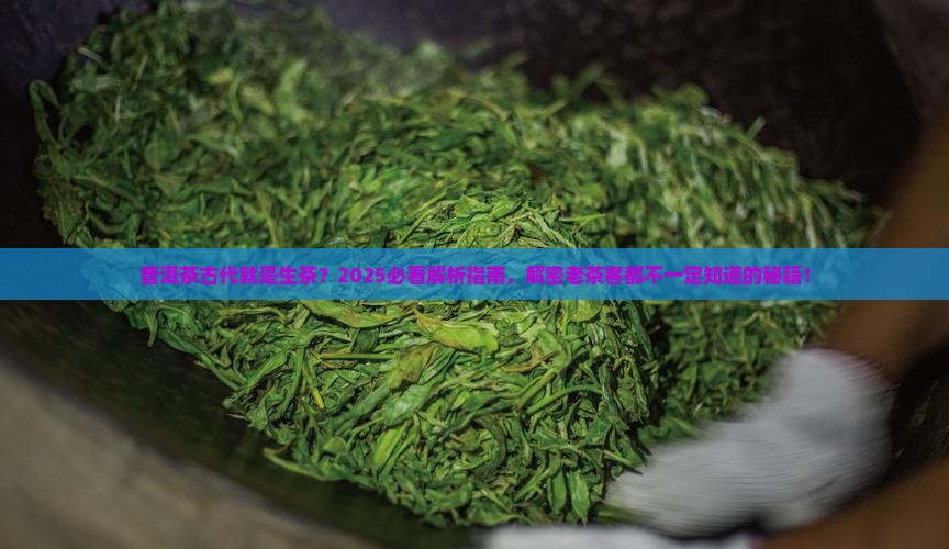 普洱茶古代是指生茶