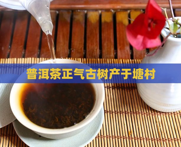 普洱茶产区正气塘