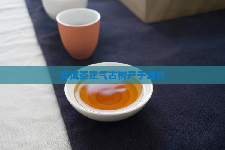 普洱茶产区正气塘