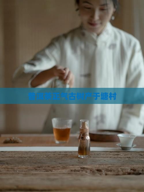 普洱茶产区正气塘