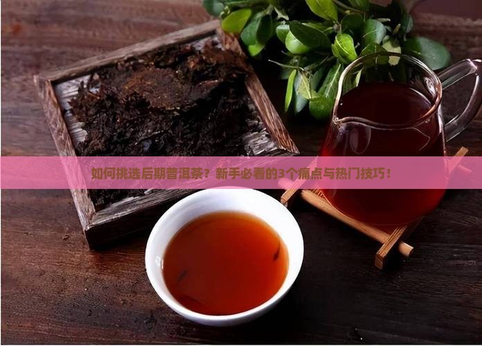 如何挑选后期普洱茶