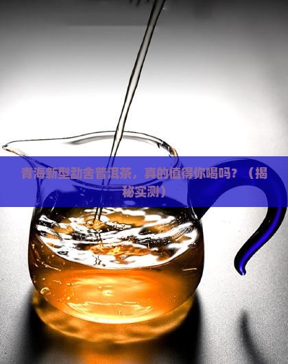 青海新型勐舍普洱茶