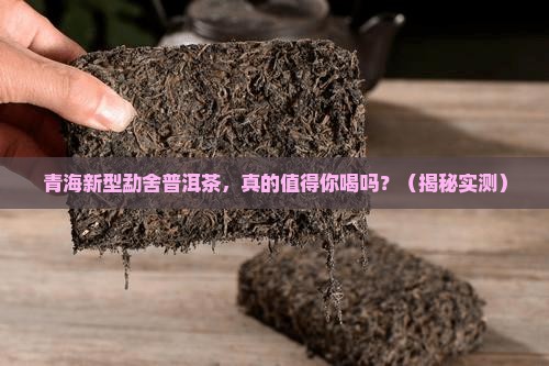 青海新型勐舍普洱茶