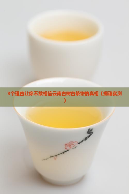 云南古树白茶饼