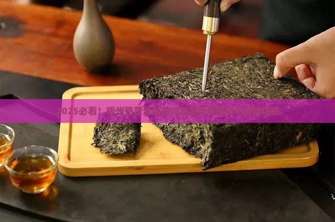 梧州熟普洱茶品牌加盟