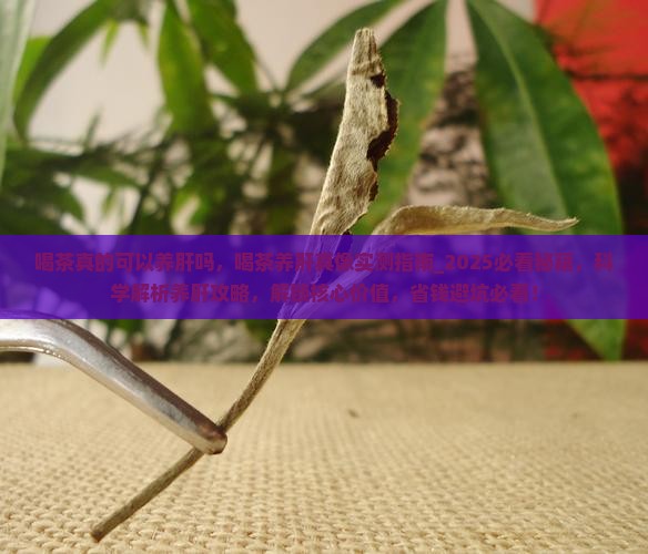 喝茶真的可以养肝吗