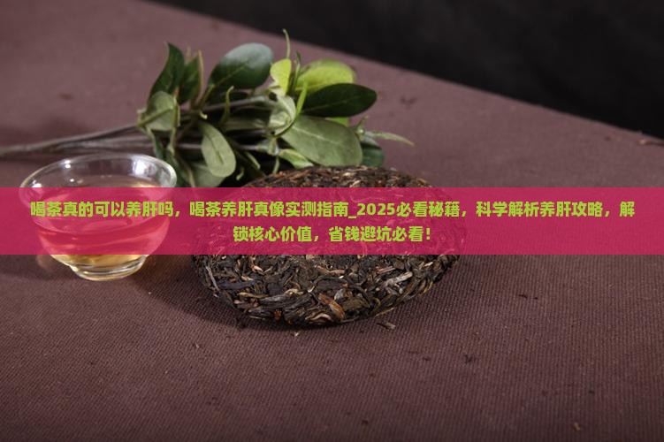 喝茶真的可以养肝吗