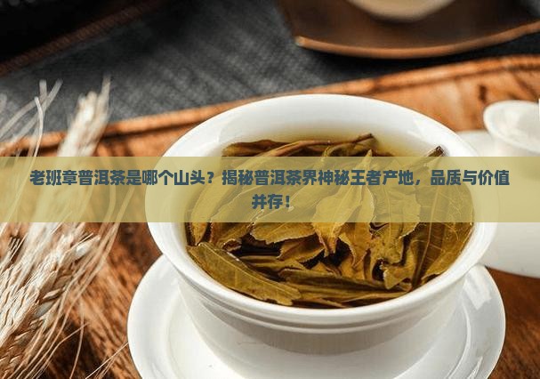 老班章普洱茶是哪个山头