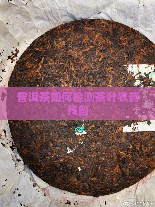 普洱茶怎么检测农药