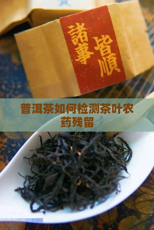 普洱茶怎么检测农药