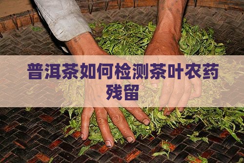 普洱茶怎么检测农药