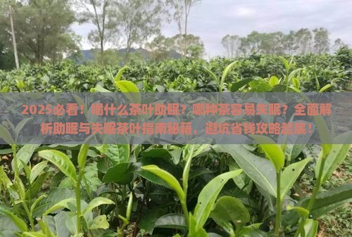 喝什么茶叶助眠哪种茶容易失眠