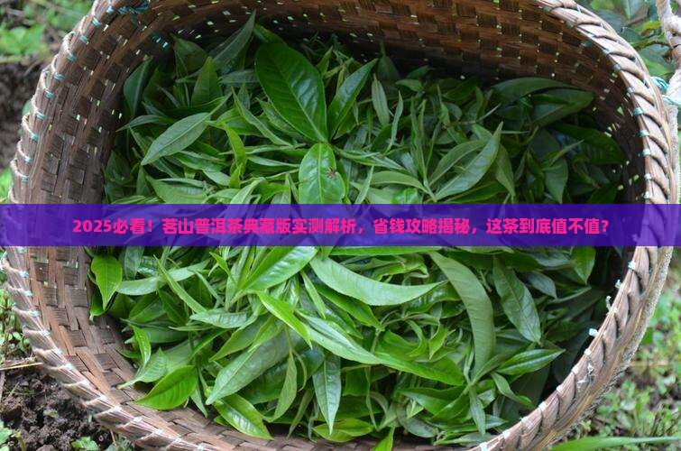 茗山普洱茶典藏版