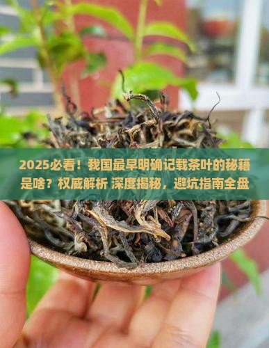 我国最早明确记载茶叶的是