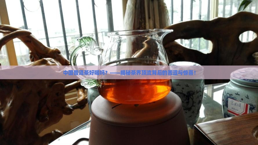 中国普洱茶好喝吗