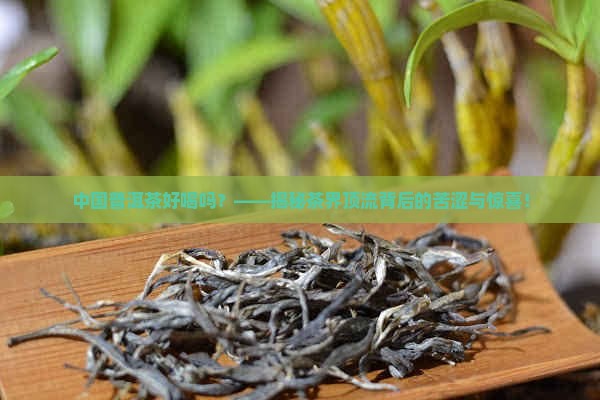 中国普洱茶好喝吗